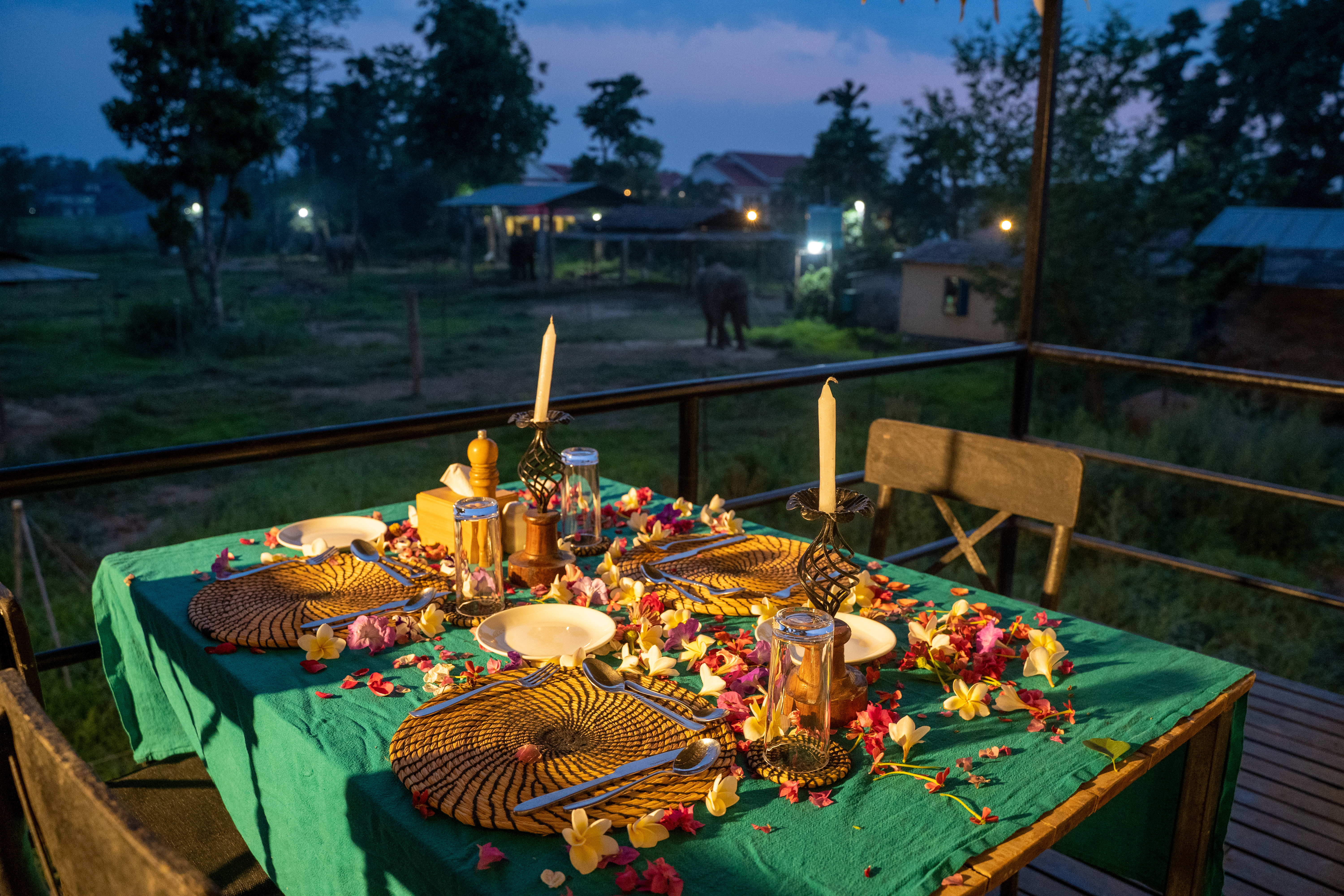 Candle-Light Dinner beside Elephants